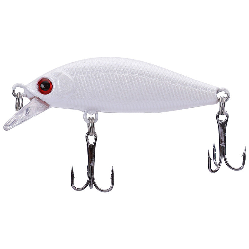 Freshwater Fishing Cockroach Bass Blackfish Bait – Trails End Express ...