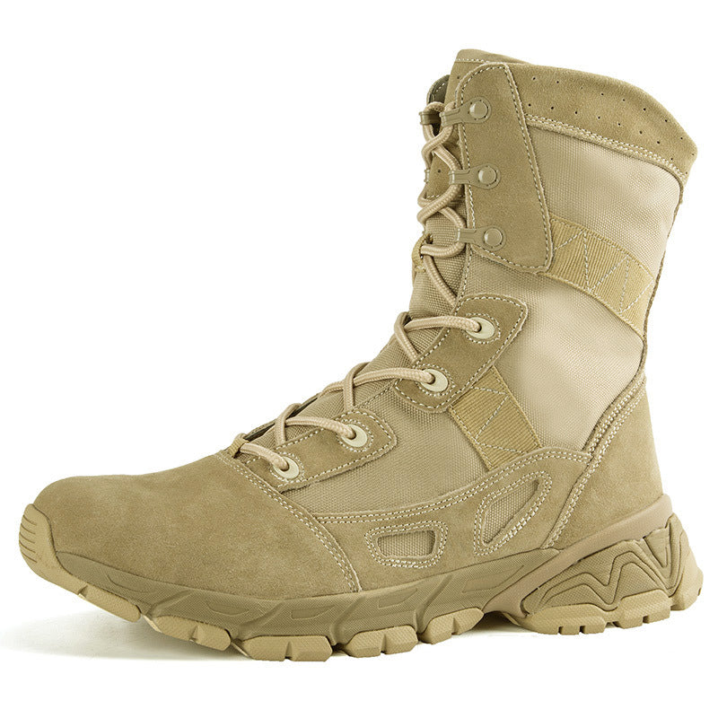 fa2703b42bf35d8185ff7ce555c3e489